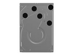 Hårddisk - 8 TB