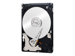 WD Black Performance Hard Drive WD3200BEKX